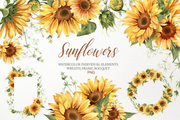 Download Watercolor Sunflower Clipart Bouquet PNG - Premium Resources